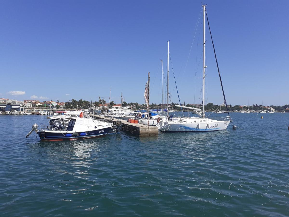 Apartman Lila Apartman *